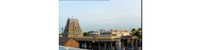 60. திருவல்லிக்கேணி (சென்னை)